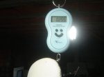 DSC04026.JPG
