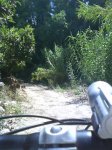 DSC00109.jpg