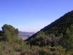 SANY0067.jpg