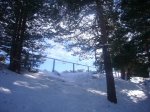 Foto11.JPG