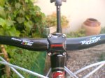 giant 014.jpg