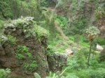 DSCN5140.JPG