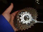 DSC02595.JPG