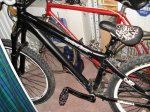 DSC01335.jpg