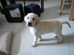 2007-08-31 10-19-26_redimensionar.JPG