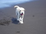 2008-09-15 15-08-50-5274_redimensionar.JPG