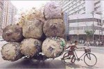 bici1.jpg