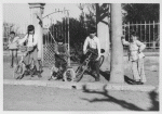 Jo bici xalets 3.gif