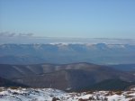 Image_007.jpg