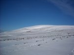 Image_009.jpg