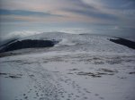 Image_013.jpg