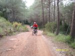 scoot 14.jpg