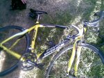 Pinarello Crash II.jpg