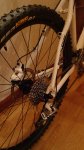 DSC00230.jpg