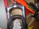 DSC01798.jpg