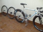 colnago ASSO 438.jpg