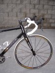 DSC05487.jpg