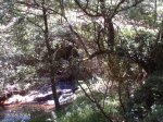 DSC00001.jpg