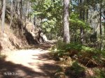DSC00004.jpg