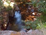DSC00005.jpg