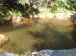 DSC00006.jpg