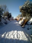 IMG071.jpg