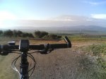 utrera3.jpg