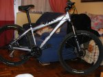 DSCF9141.jpg