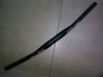 17012009_010.jpg