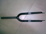 17012009_009.jpg
