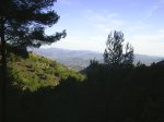 PIC_0013.jpg