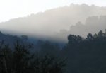 P1177369_resize.jpg