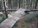 wood park en ibardin 011.jpg