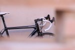 bici2.jpg