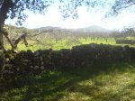 DSC024450011.JPG