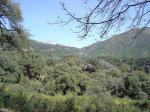 DSC02025.jpg