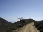 DSC02031.jpg