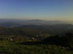 DSC00004.jpg