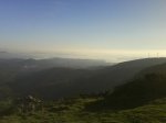 DSC00005.jpg