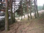 Foto9.JPG