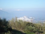 m_DSC00936.JPG