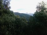 Foto0106.jpg
