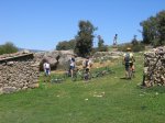 mini-IMG_4284.JPG
