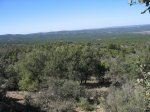 mini-IMG_4279.JPG