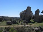 mini-IMG_4299.JPG