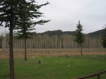 mini-IMG_4134.JPG