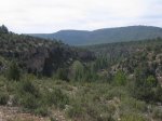 mini-IMG_4180.JPG