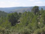 mini-IMG_4190.JPG