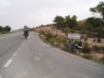 algarrobo.JPG