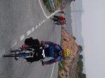 algarrobo2.JPG